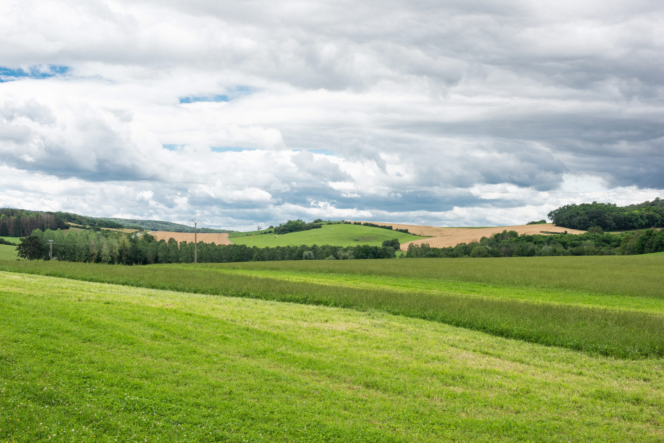 Entre Montmirey et l'Ognon