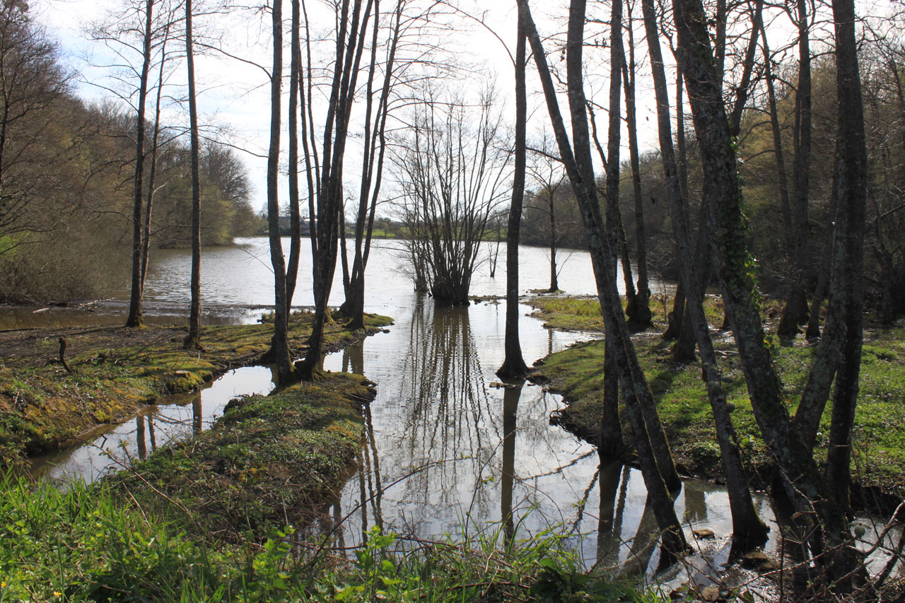 Etang de la Bresse Comtoise