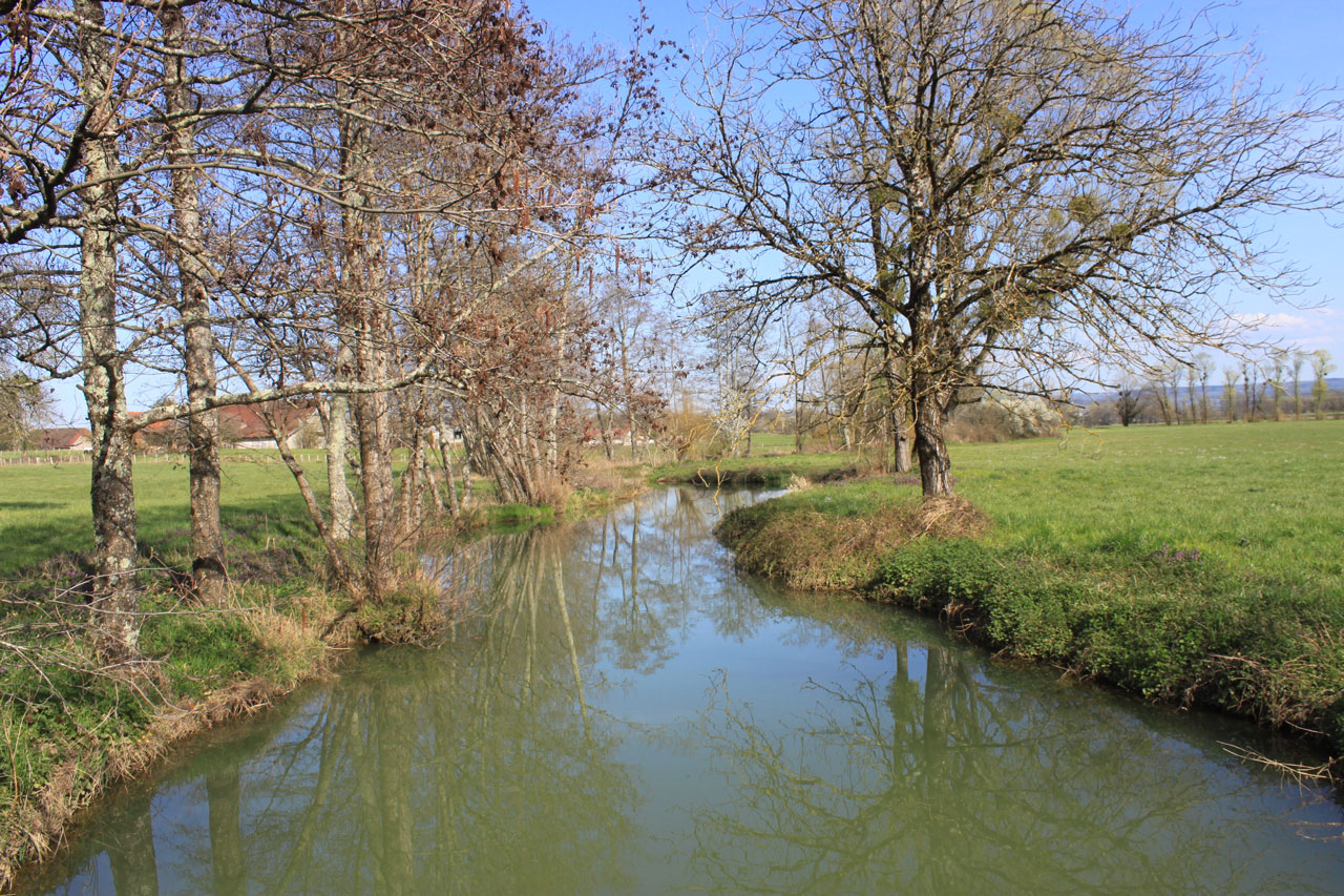 La rivière de la Brenne à Villey