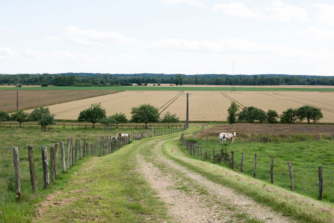 Alentours de Belmont