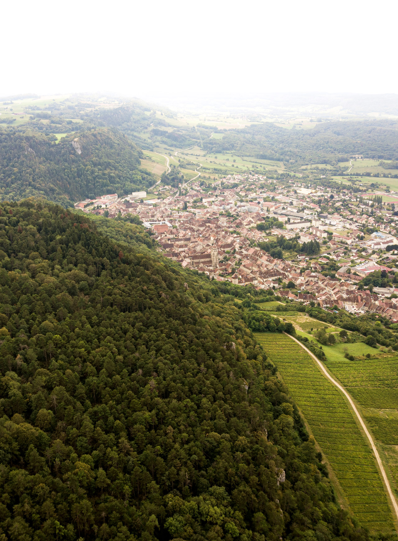 Des extensions urbaines sous forme de "bouchon urbain" en entrée de reculée de Poligny, où vignes et forêt maintiennent une lisière franche - vue du ciel sur Poligny et le Revermont